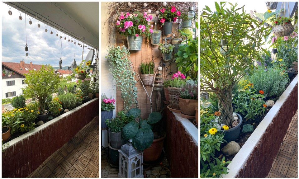 dein Beet auf dem Balkon - Elemente für die Balkongestaltung